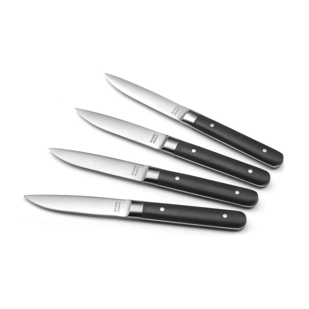FUSION Set 4 coltelli bistecca